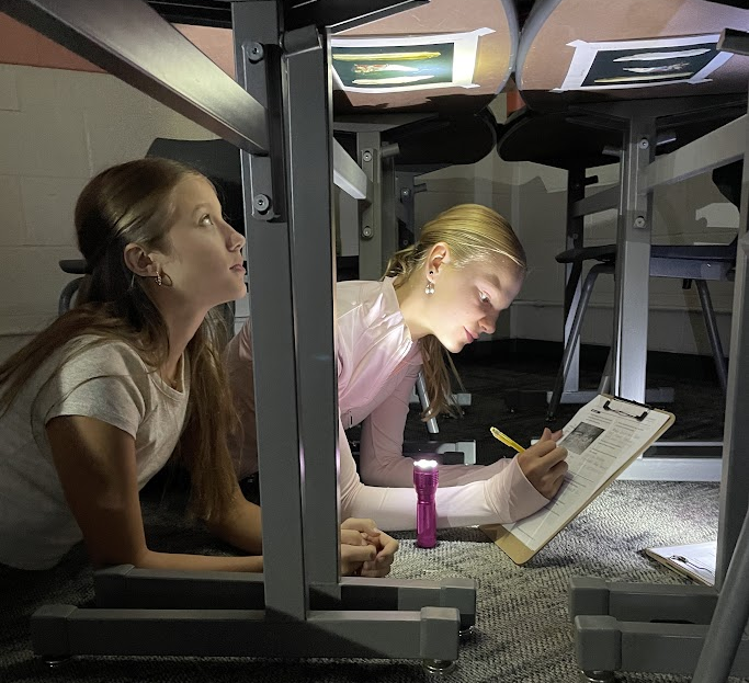 Romeo Middle School 7th Grade